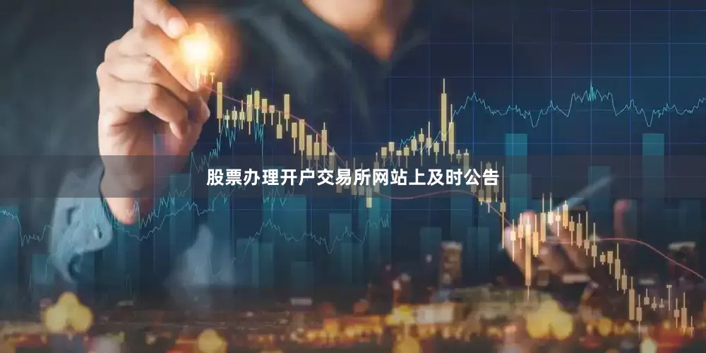 股票办理开户交易所网站上及时公告