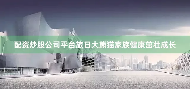 配资炒股公司平台旅日大熊猫家族健康茁壮成长