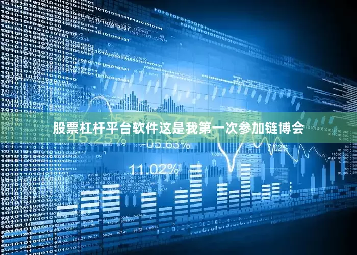 股票杠杆平台软件这是我第一次参加链博会