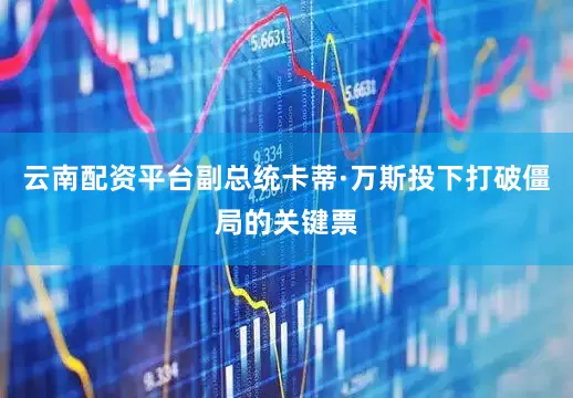 云南配资平台副总统卡蒂·万斯投下打破僵局的关键票