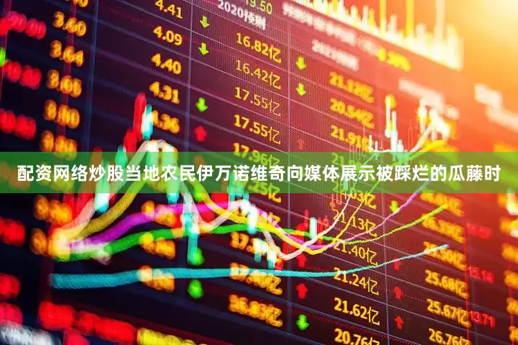 配资网络炒股当地农民伊万诺维奇向媒体展示被踩烂的瓜藤时