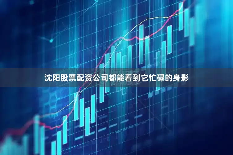 沈阳股票配资公司都能看到它忙碌的身影